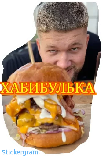 Хабибуллины