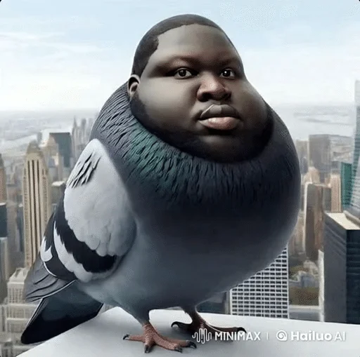 создал:keniswal ::