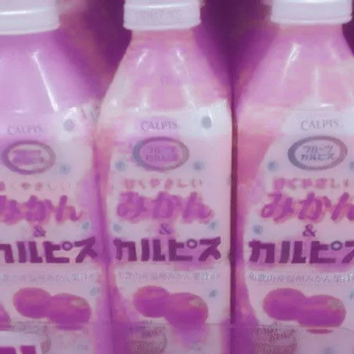 ꒰ 🥧 ꒱  ⁀ 〣 pardofelis ::