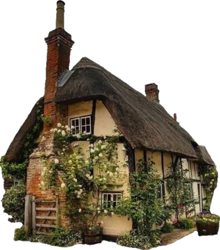 ✧*̥₊🥮cottagecore🍓˚‧☆ﾐ