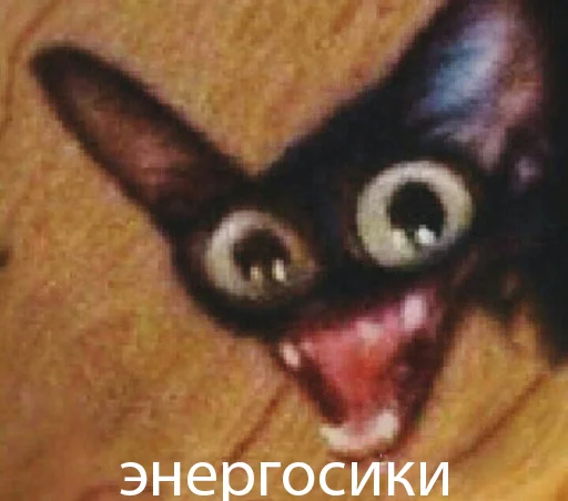 Подписывайся на