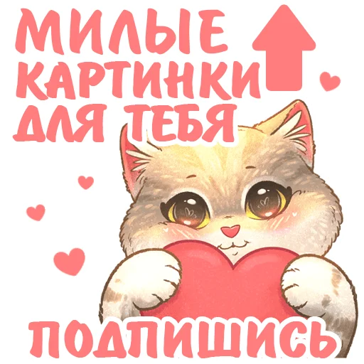 Котики и фразочки 2