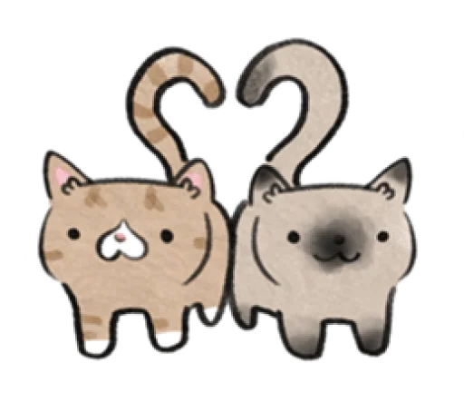 котя ! ₊`☽.࿔