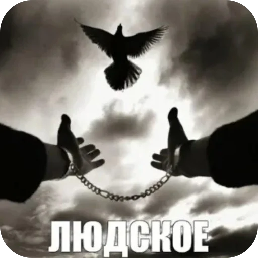 матч.ьсдо.хла.