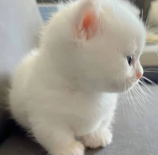 ㅤΣ>―(〃°ω°〃)♡→