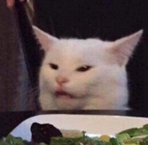 набор котов(?) ::