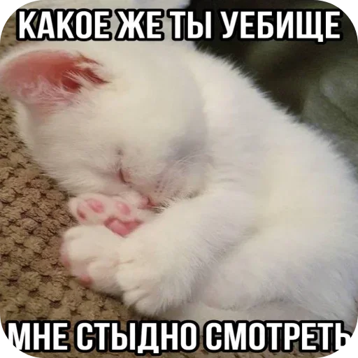 Больше стиков тут: