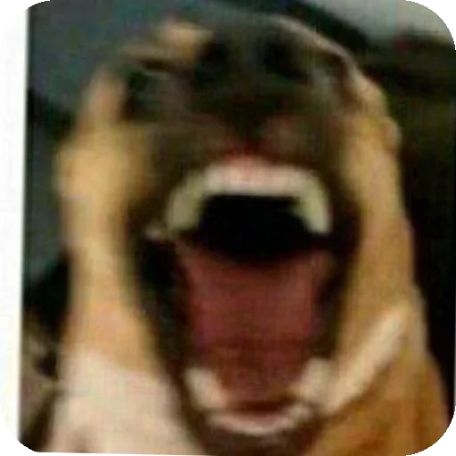 Стикеры от Фридриха #6