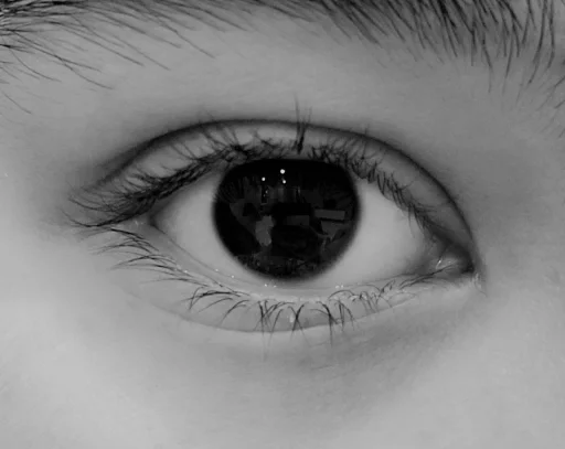 жизнь-это тюрьма