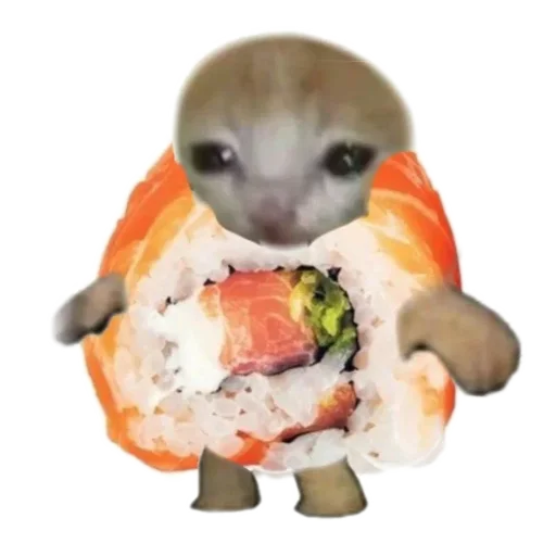 Смешные котики)