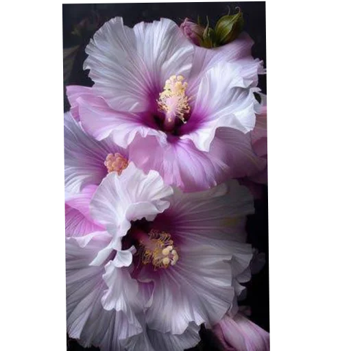 Все цветочки