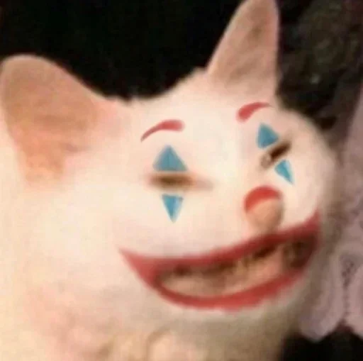 Котики #3 ➡️