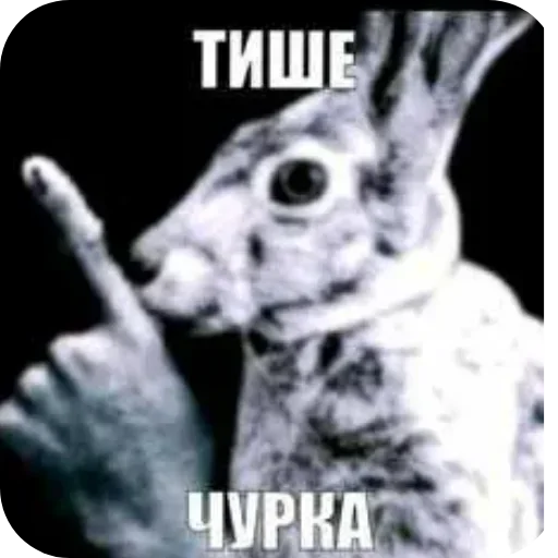 Больше стиков тут: