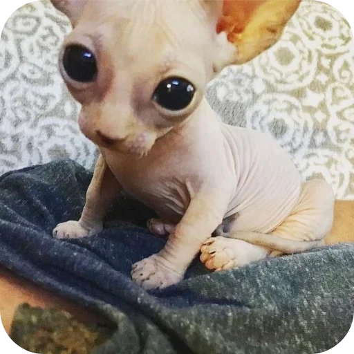 Больше стиков тут: