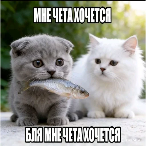 животность/animal