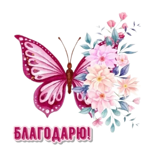 🌸цветы🌸