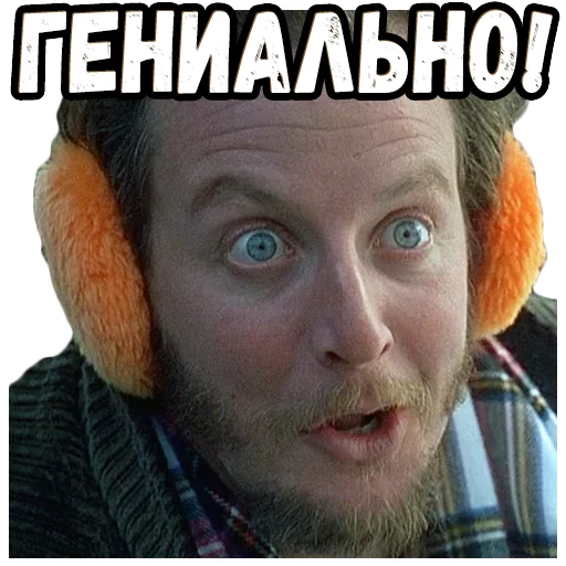 Один дома 2 (2) ::