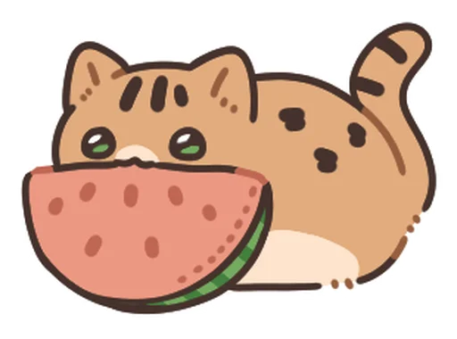 三米的那一小米-03 sum毛vacation