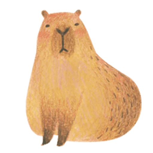 Mr. Capybara