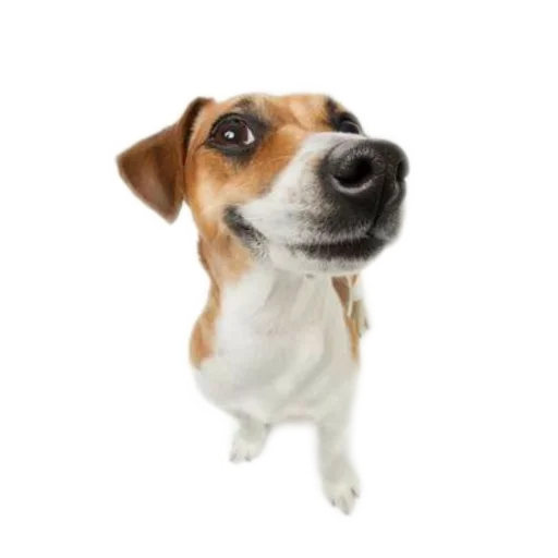 Больше стиков тут: