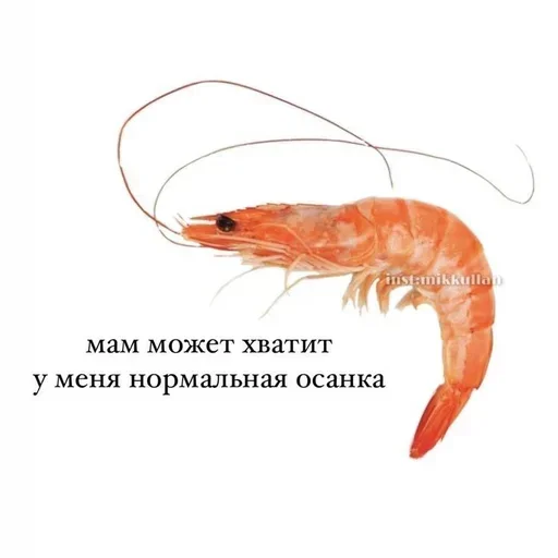 Больше стиков тут: