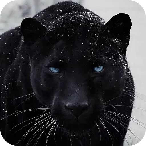 Больше стиков тут: