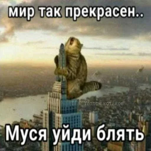 Больше стиков тут: