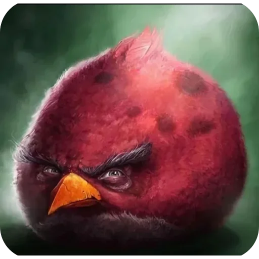 Стік пак літвіна