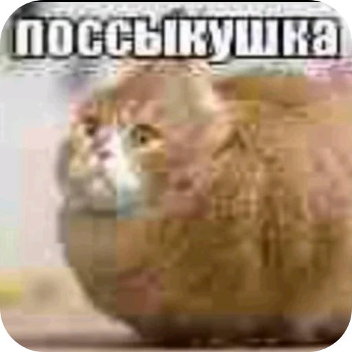 поссыкушка, автор -