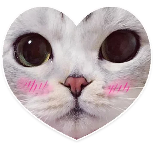 ✨💖~ TSE LIUBOV ~💖✨