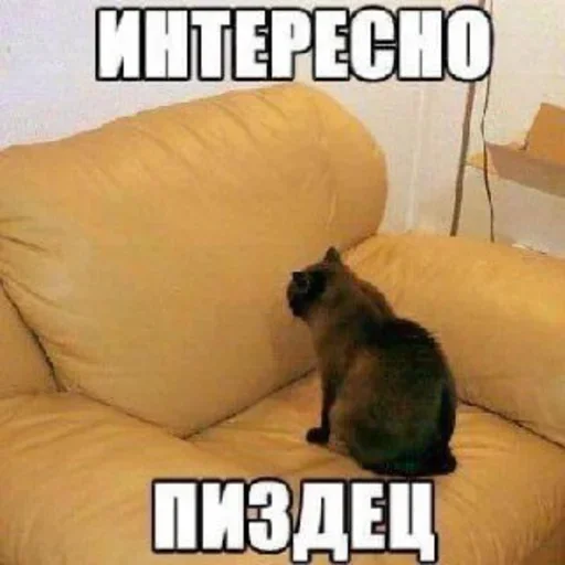 стикерная каша🥯