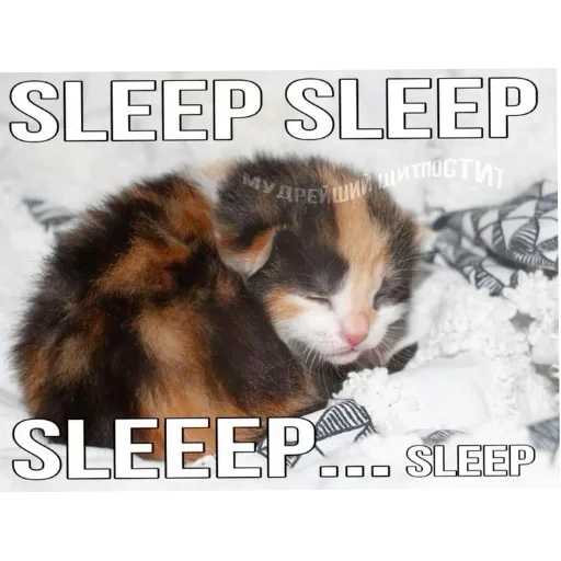 Больше стиков тут: