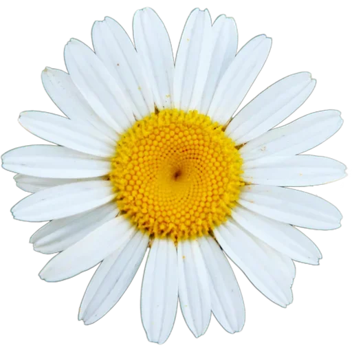 Больше стиков тут: