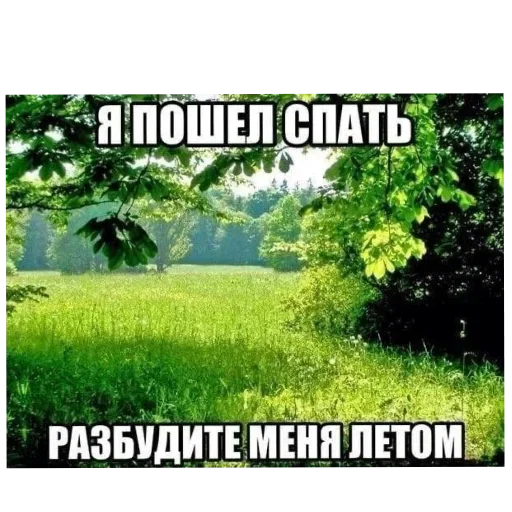 Больше стиков тут: