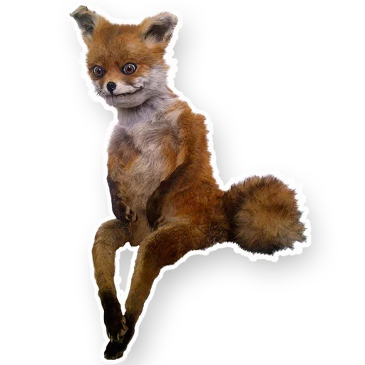 УпоротаяЛиса