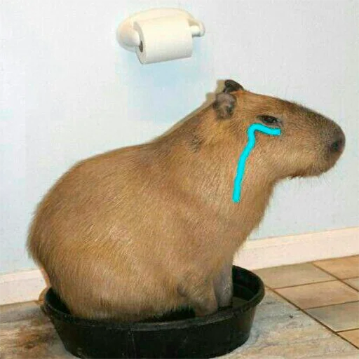😢