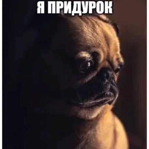 😞