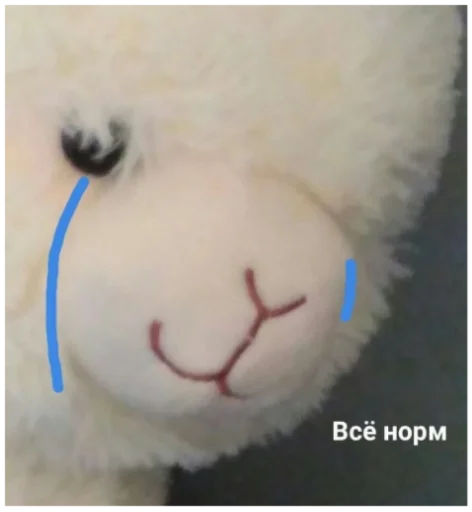 😢