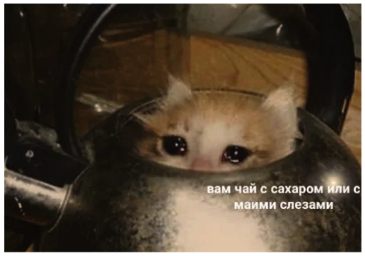 😢