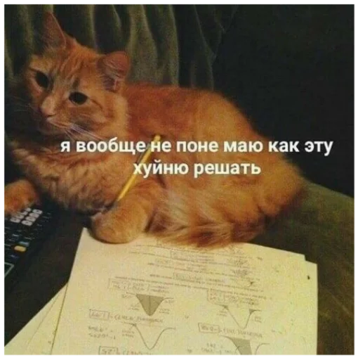 😢