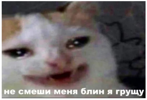 😢