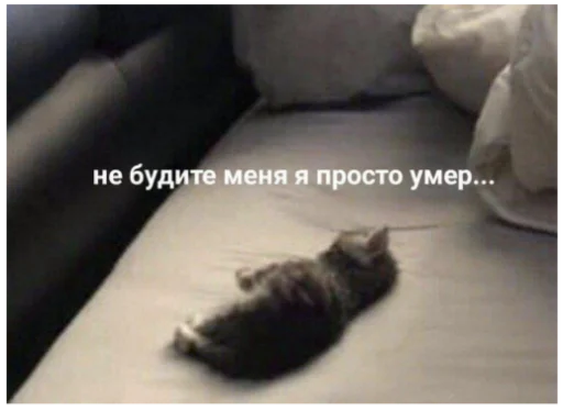 😢