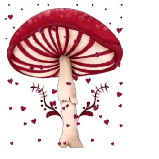 more shrooms