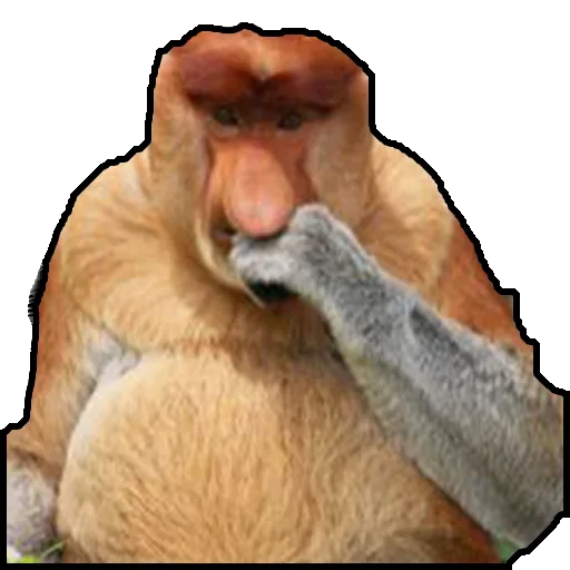 Monkey