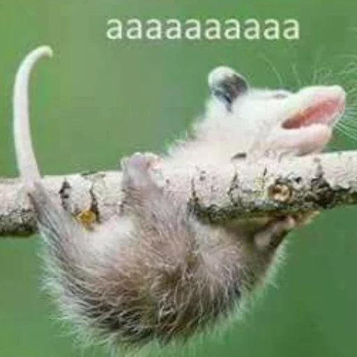 😱