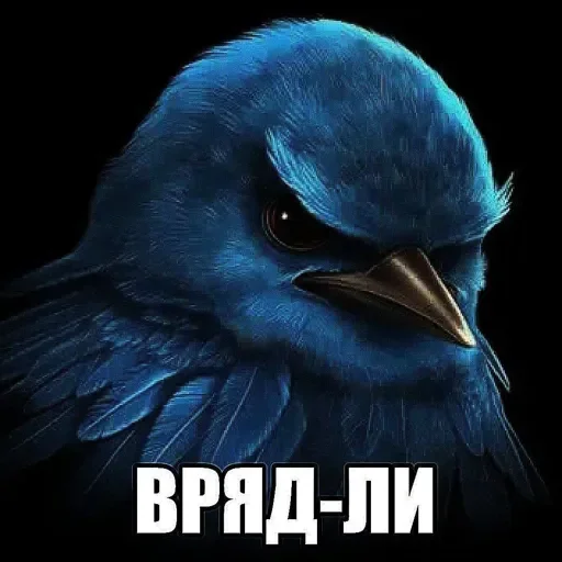 Птички