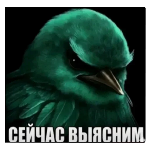 😂