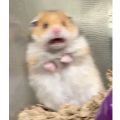 😱