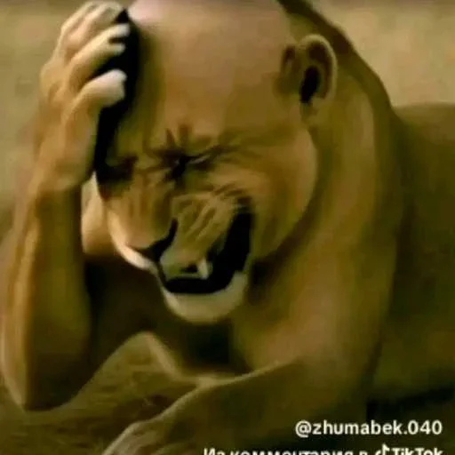 😱