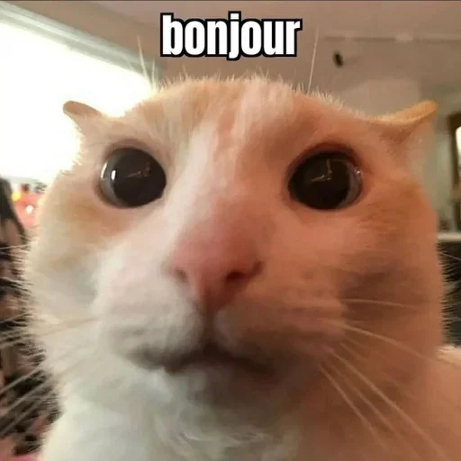 Больше стиков тут: